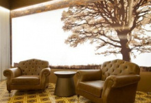 Printed translucent wall