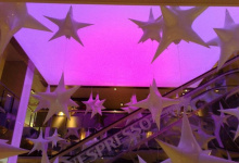 Star shaped modular ceiling panels